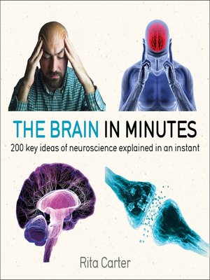 cover image of The Brain in Minutes